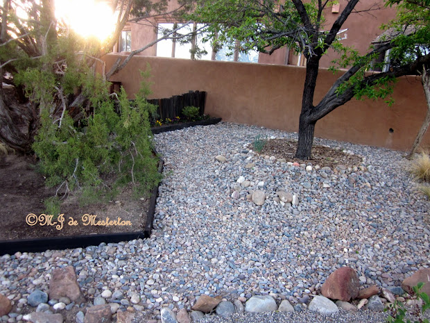 elegant gardening tree-mulching