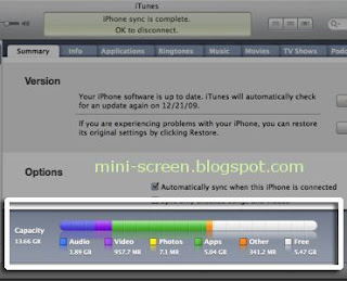 iPhone Other Capacity on iTunes