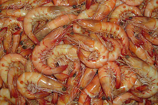 Jhinga Jhing-Prawn Benefits in Hindi