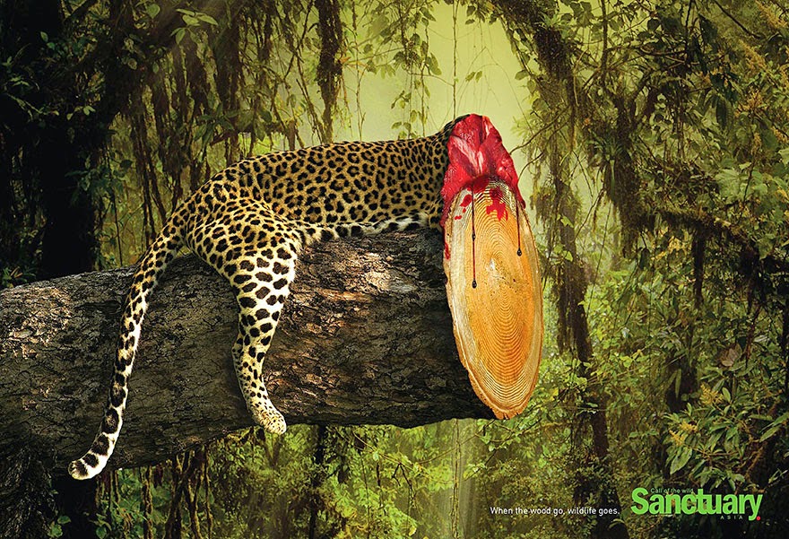 Shocking Effects Of Deforestation Exposed In Brutal Print Ads Shocking Effects Of Deforestation Exposed In Brutal Print Ads