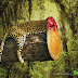 Shocking Effects Of Deforestation Exposed In Brutal Print Ads