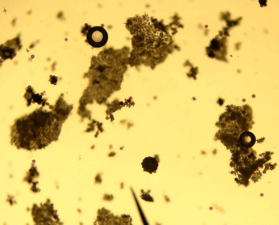 Air Bubble Microscope