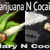 F.S.B Ft. Reezy, Tio Guarda, Big Fly, rEmix, Lil Snow & Tey - Mary N Coca (Prod. By F.s.B)