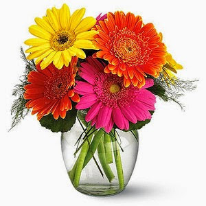 Which Colour Of Flowers Is Best For A Friendship Bouquet, A Friendship Bouquet, Flowers for Friends