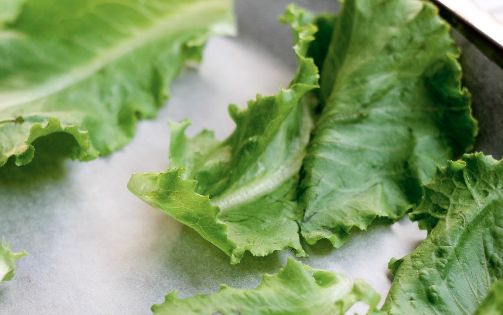A Scientist's Love Affair with Food Lettuce "Chips"