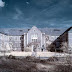 La terrorífica historia del asilo Pennhurst La terrorífica historia del asilo Pennhurst