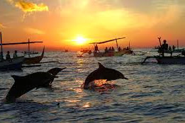 Objek Wisata Lumba-lumba di Pantai Lovina Bali