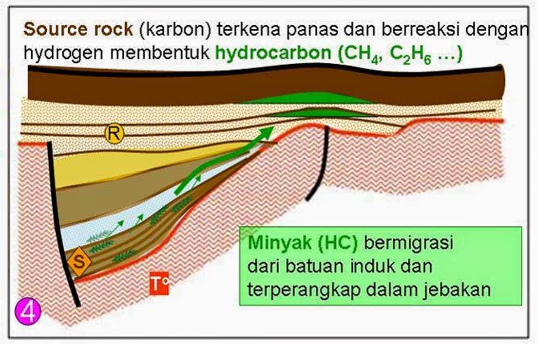 Asal Usul Minyak Bumi Asal Usul Minyak Bumi