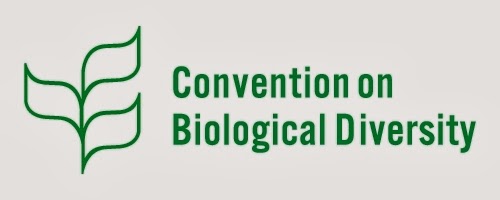 Convenio sobre la Diversidad Biológica