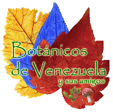 Red de información sobre Estudios de la Botánica en Venezuela