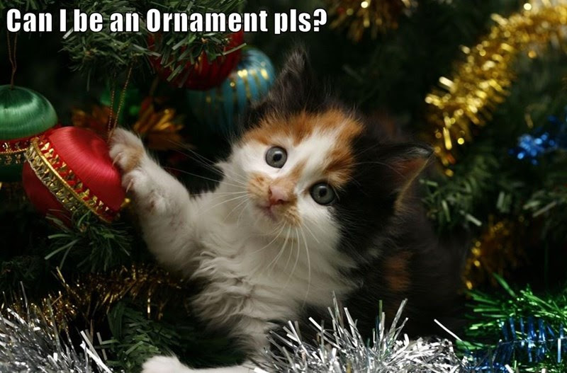 True Book Addict...Books, Cats, and More Cat Thursday Christmas An