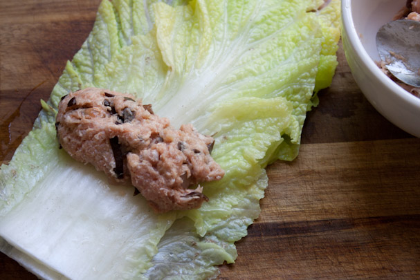 Pork mince chinese cabbage recipes Pork mince chinese cabbage recipes
