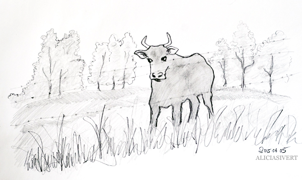 aliciasivert, alicia sivert, alicia sivertsson, teckna, måla, skapa, alster, konst, öva, utmaning, teckningsutmaning, makeri, bläck, ink, rita, sketch, drawing, draw, illustration, illustrera, tisteldrake, tjur, ko, cow, bull