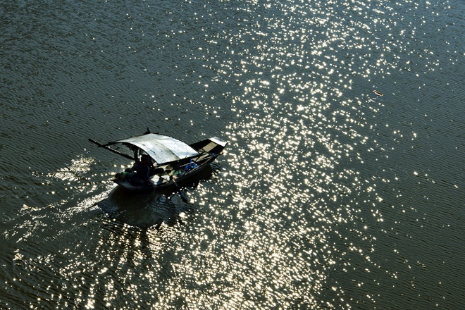 [Image: mua-co-lau-ben-cay-cau-tram-tuoi-long-bien-7.jpg]