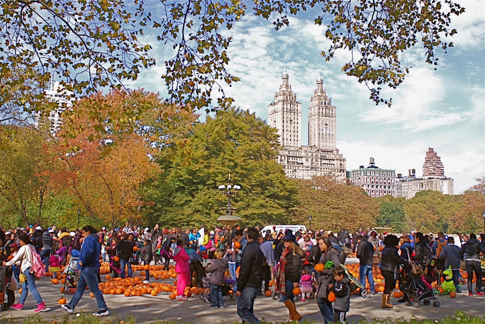 NYC ♥ NYC Pumpkin Patch in Central Park