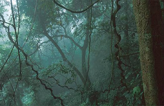 Rain wallpapers, images, pictures Rain wallpapers, images, pictures