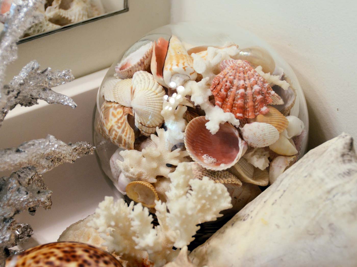 Sea shells vignette with glass globe