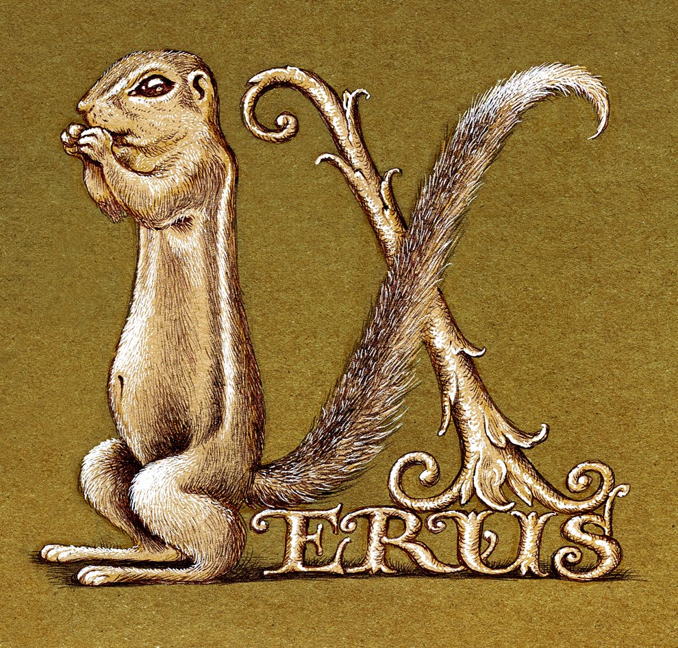 Les animaux - Page 7 Xerus-LeahPalmerPreiss
