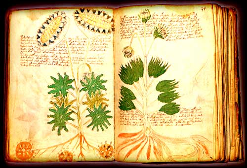 El manuscrito de Voynich Manuscrito+Voynich+004