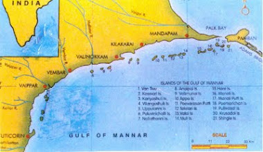 island of gulf of mannar