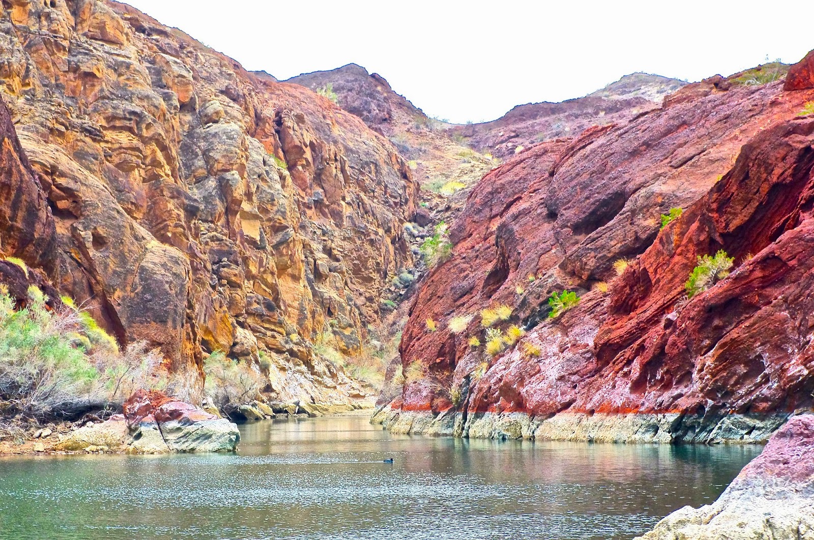 Lake Havasu with friends. 