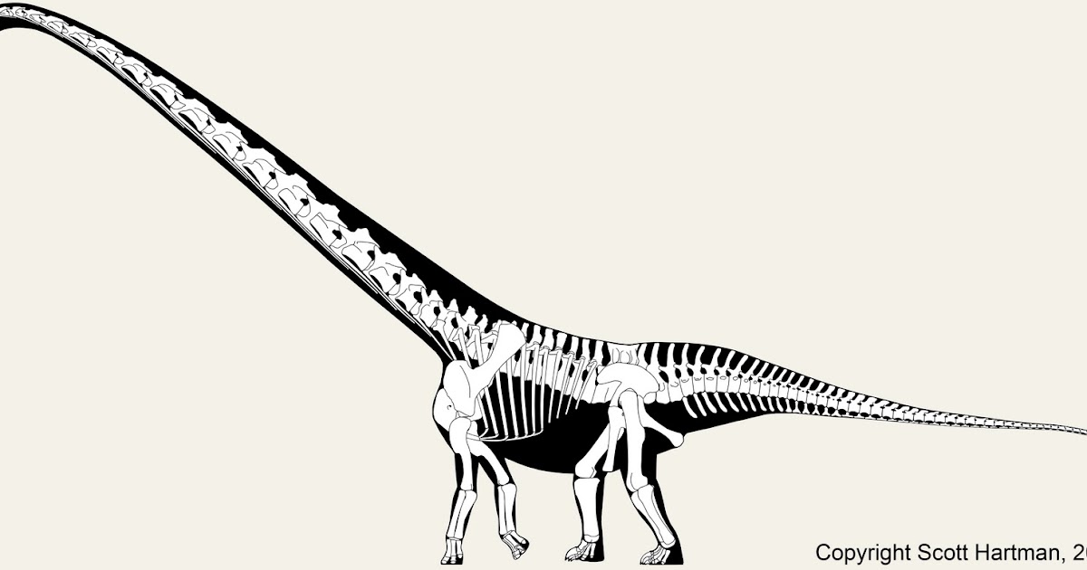 Extinct Animal of the Week What An Exceedingly Long Neck You Have!