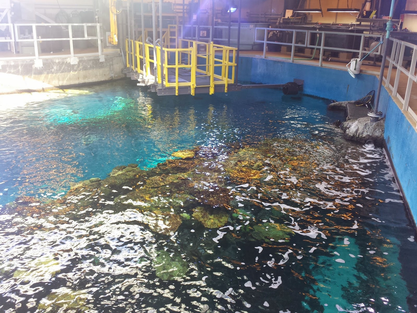 Aquarium of the Pacific