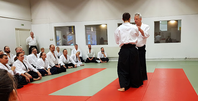 Stefan Stenudd, 7 dan shihan, huvudinstruktör