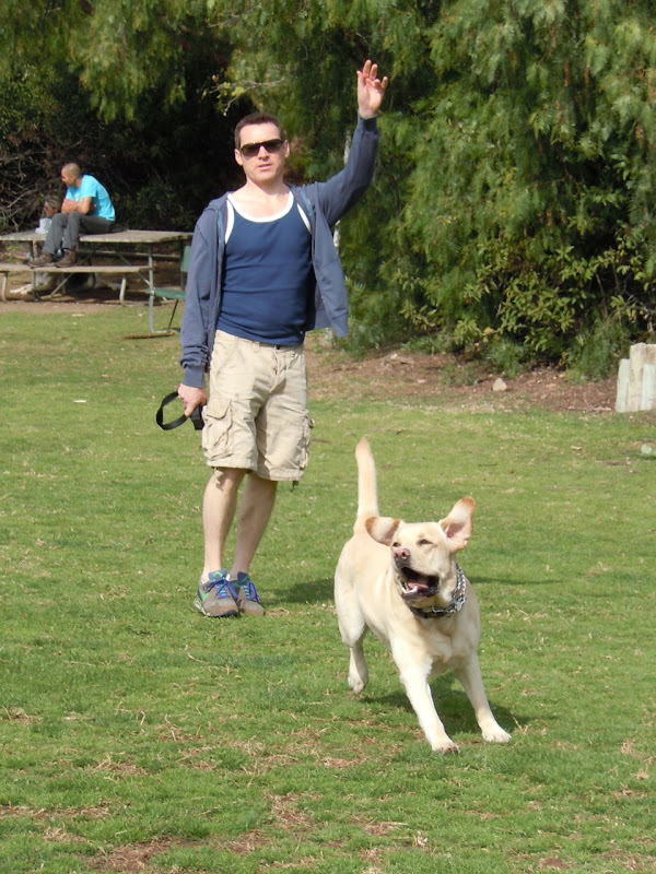 Cooper chasing balls