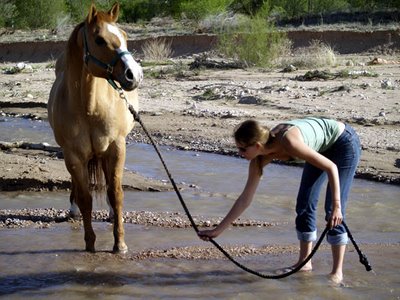 water_horse.jpg