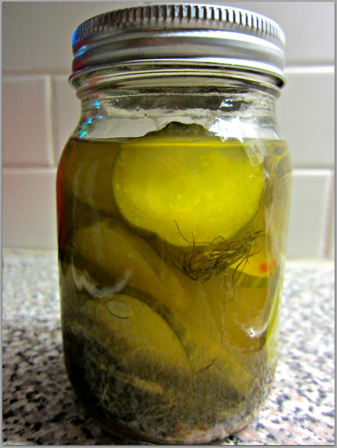 Come Home for Supper! Microwave Dill Pickles