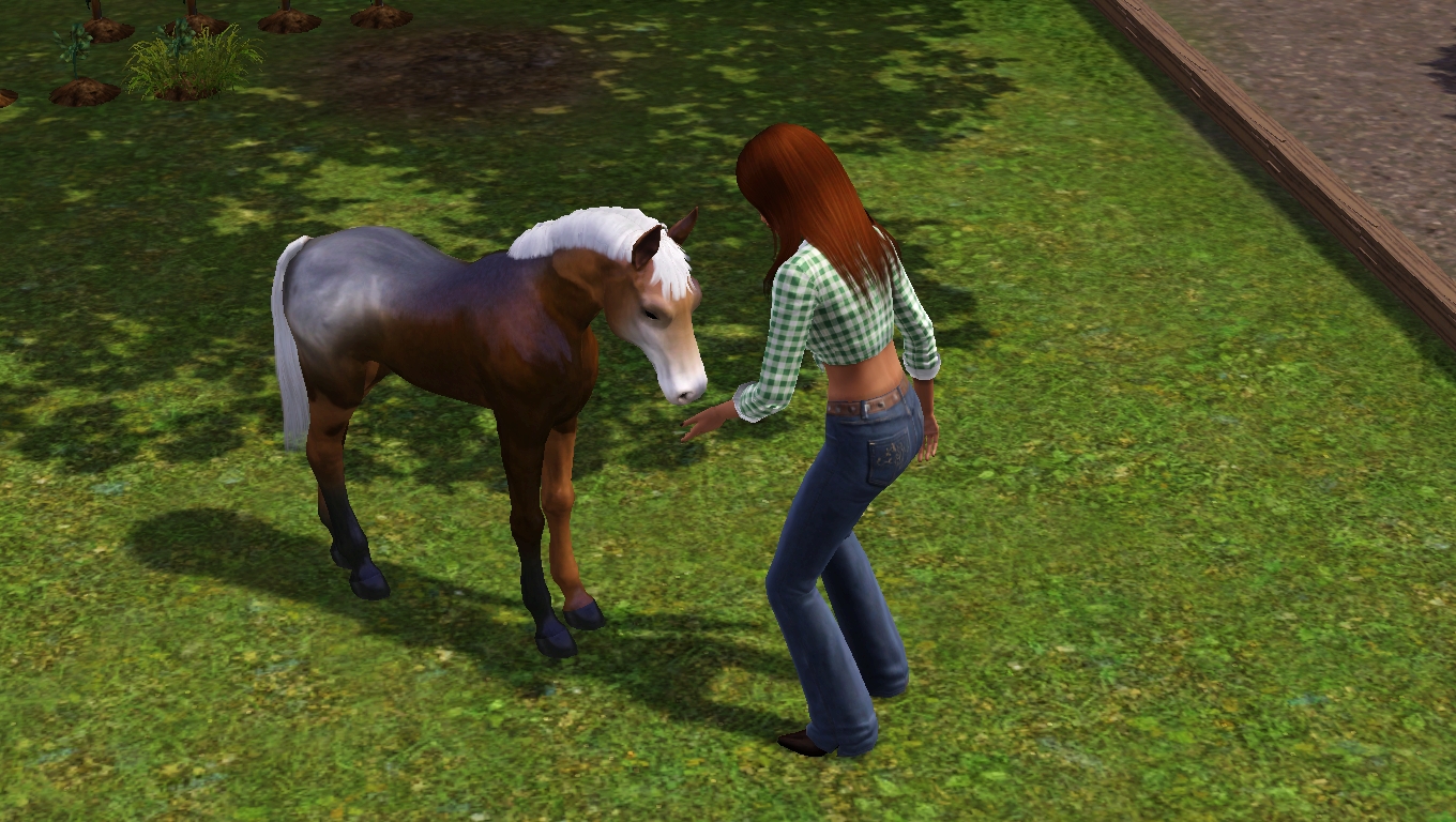 A Slice of Ash Pie Sims 3 Pets Horses