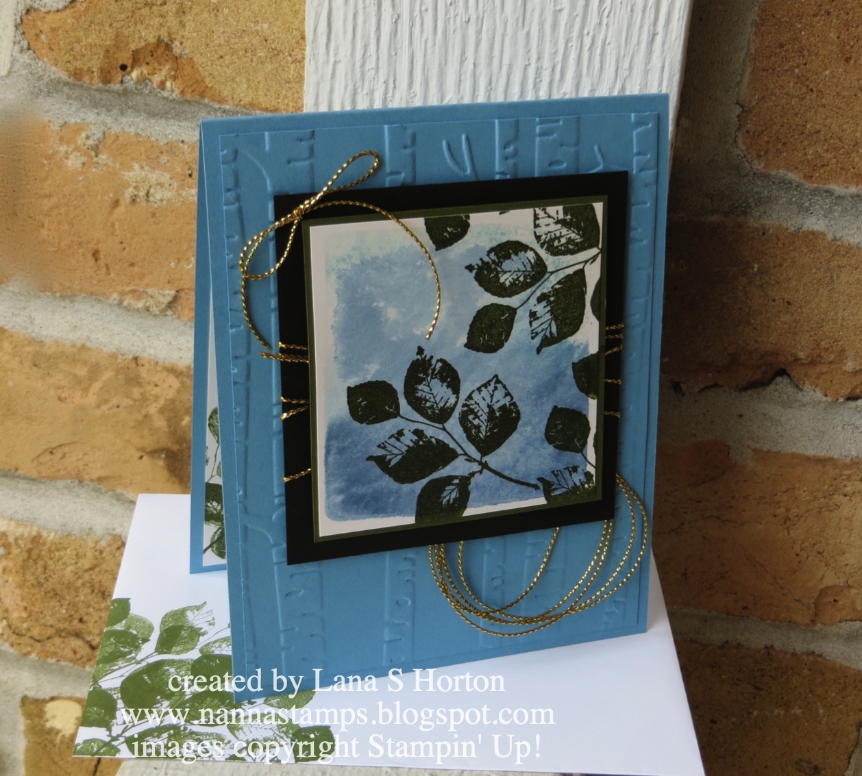 Stamping with Nanna Acrylic Block Technique Cards, Part 5