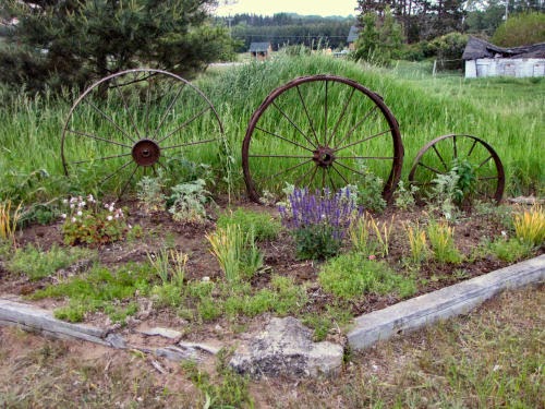 flower bed