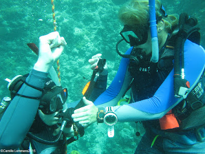 PADI IDC in Moalboal in the Philippines for November 2015 has been completed
