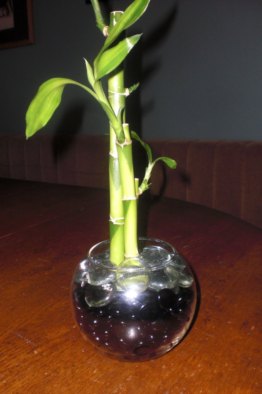 Bejeweled Babe DIY Bamboo Centerpiece
