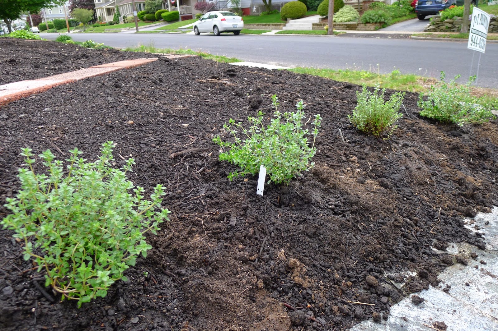 Less Noise, More Green Edible Landscaping Using