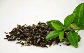 Rôle actif du thé vert dans l'alimentation anti-âge
