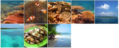 Pulau menjangan Kecil karimunjawa Pulau menjangan Kecil karimunjawa