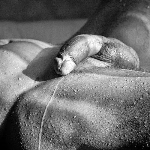 Are Pre cum studies Can not Pre cum studies