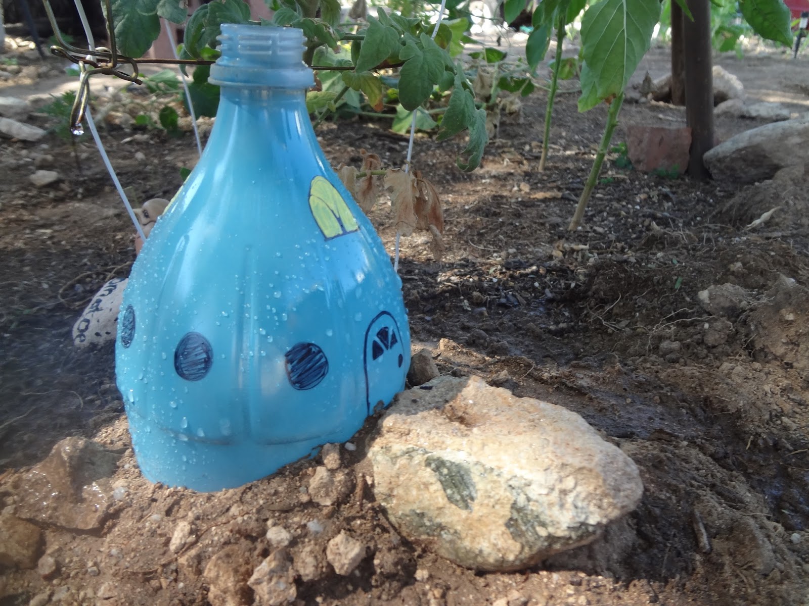 Green beans on the road Soda Bottle Fairy House for watering your garden.