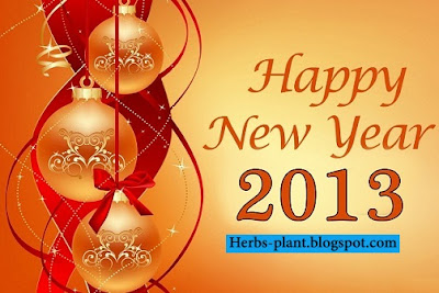 سنة سعيدة 2013 - New year 2013 سنة سعيدة 2013 - New year 2013