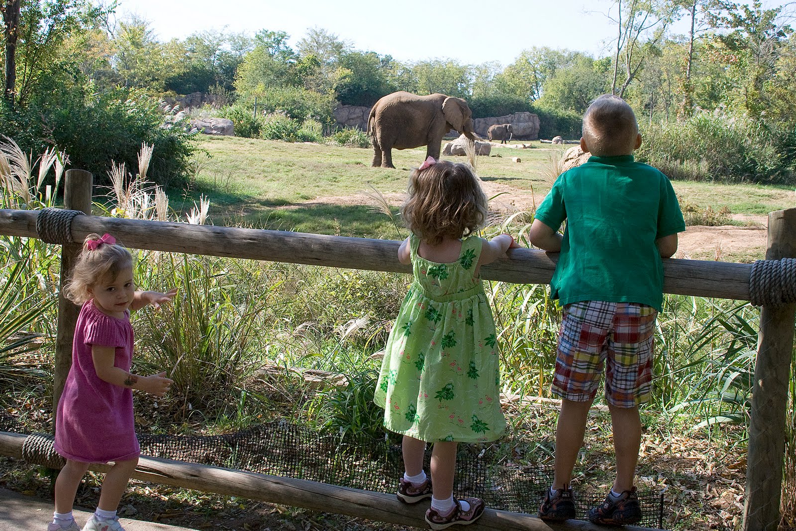 The Cullinan Family Nashville Zoo... again