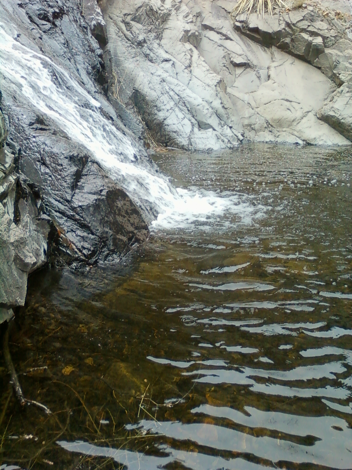 Southern New Mexico Explorer Mineral Creek,2012Gila National Forest