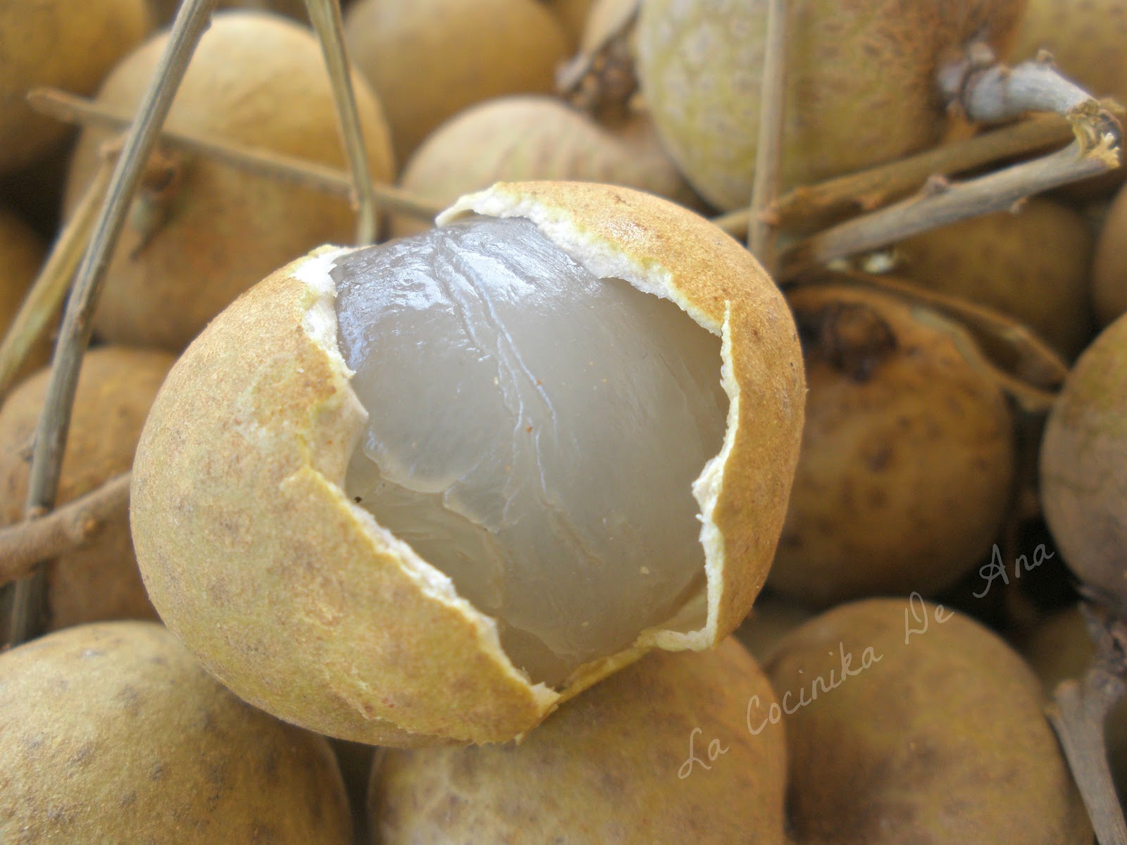 La Cocinika De Ana Longan 龙眼 (Ojo de dragón)