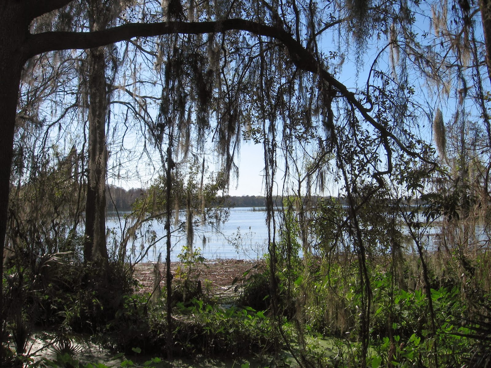 Thonotosassa Florida Baker Creek Boat Ramp on Lake Thonotosassa
