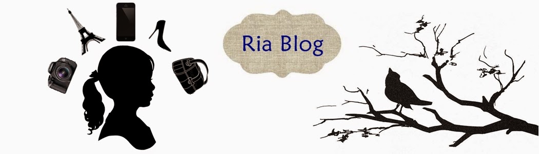 RiaBlog
