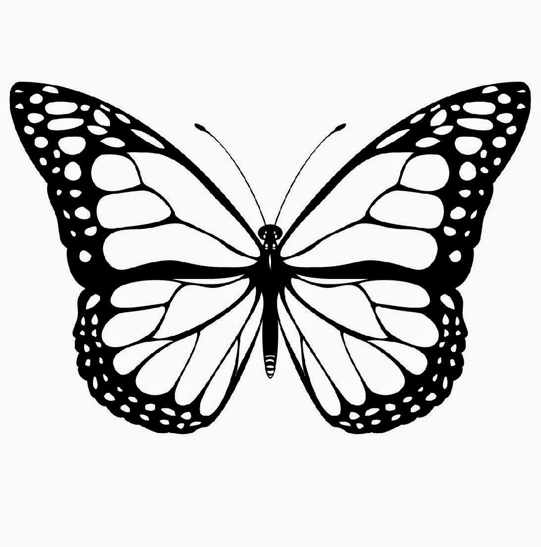 FREE Butterfly Coloring Pages For You to Color In! - coloring pages of butterflies