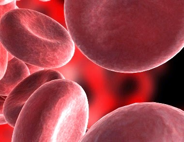 Anemia por deficiência de vitamina B12 ou Folato