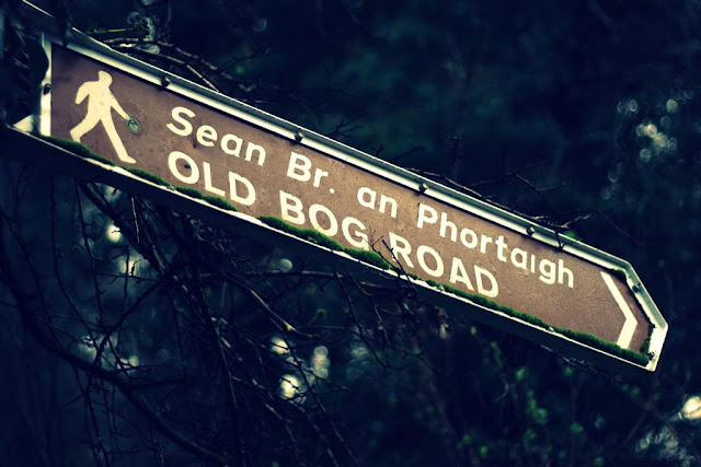 a road sign saying "the old bog road" 